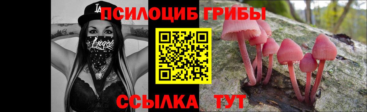 Обнинск  Галлюциногенные грибы прущие грибы  Галлюциногенные грибы мухоморы  Вход с VPN 